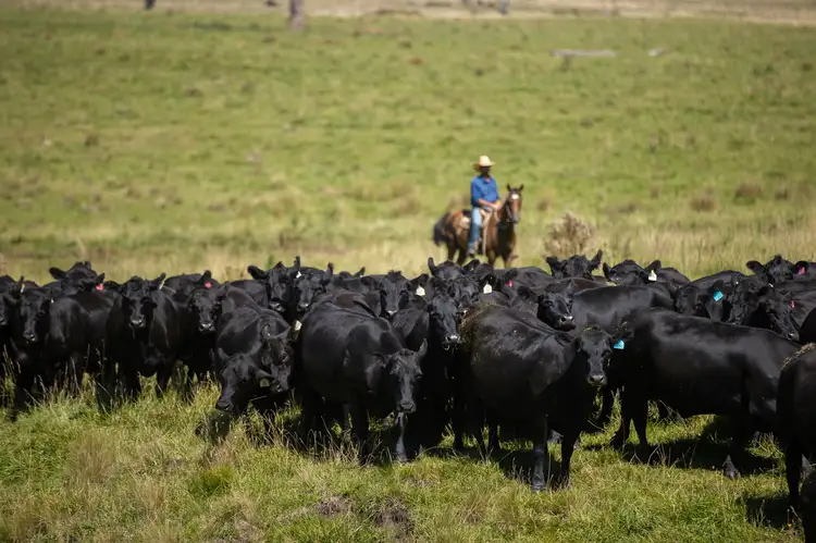 Argyle/1006 Green Hills Road, Guyra NSW 2365