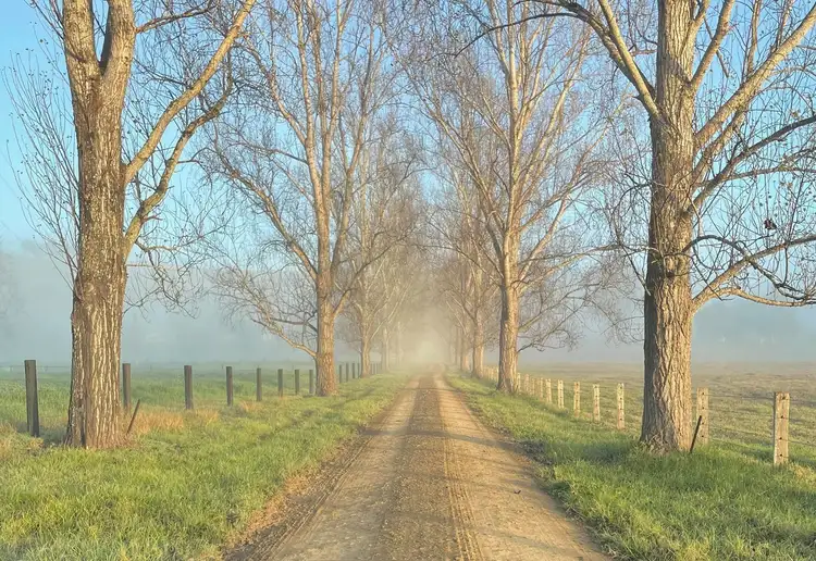 1301 Chichester Dam Road, Bandon Grove, Via, Dungog NSW 2420