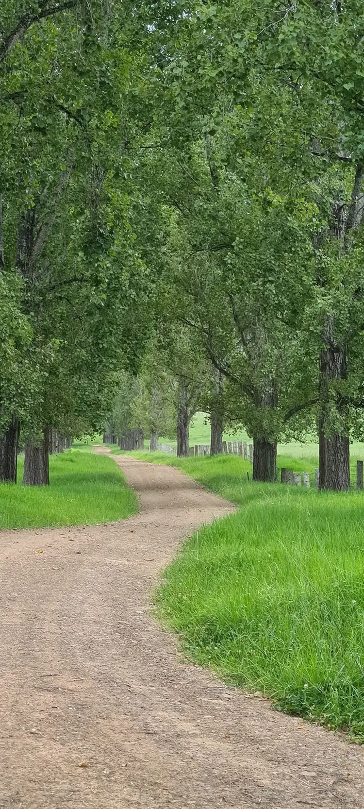 1301 Chichester Dam Road, Bandon Grove, Via, Dungog NSW 2420