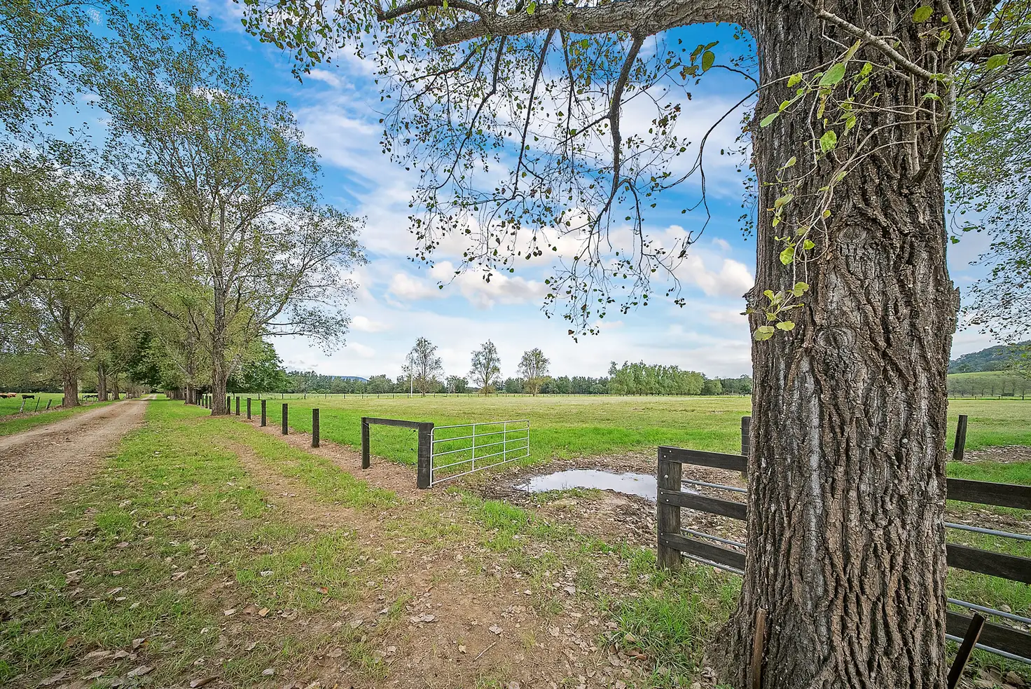 Main view of Homely rural property listing, 1301 Chichester Dam Road, Bandon Grove, Via, Dungog NSW 2420
