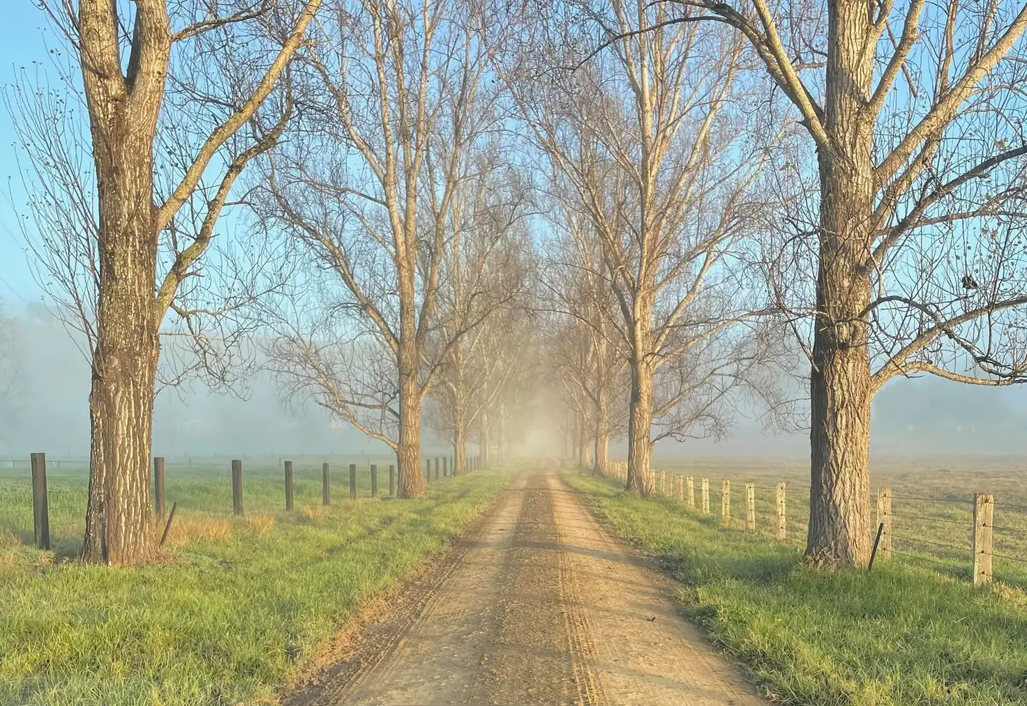 Main view of Homely rural property listing, 1301 Chichester Dam Road, Bandon Grove, Via, Dungog NSW 2420