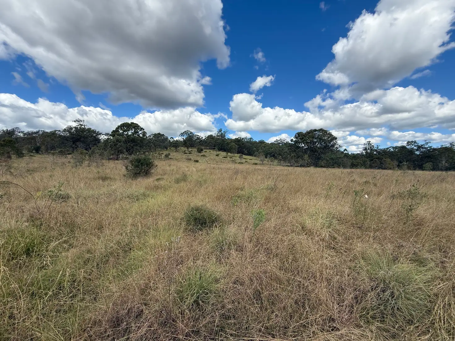 Main view of Homely rural property listing, Lot 1 & Lot 444 New England Highway, Emu Creek QLD 4355