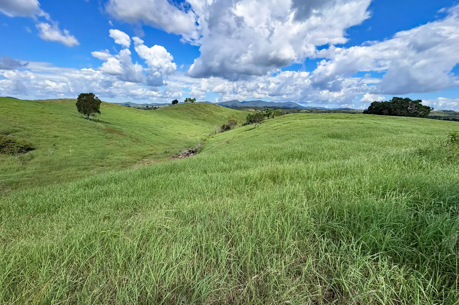 Main view of Homely rural property listing, Address available on request