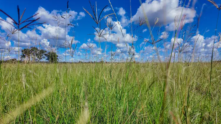 Second view of Homely rural property listing, 15962 Cunningham Highway, Greymare QLD 4370