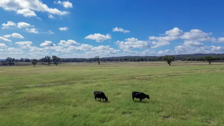 Third view of Homely rural property listing, 15962 Cunningham Highway, Greymare QLD 4370