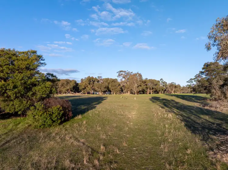 Sixth view of Homely land listing, 305 Duells Lane, Glenaroua VIC 3764