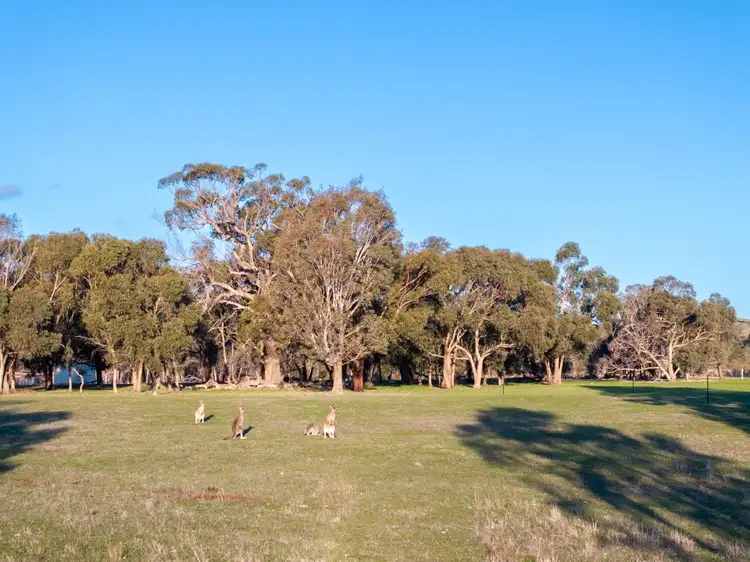 Seventh view of Homely land listing, 305 Duells Lane, Glenaroua VIC 3764