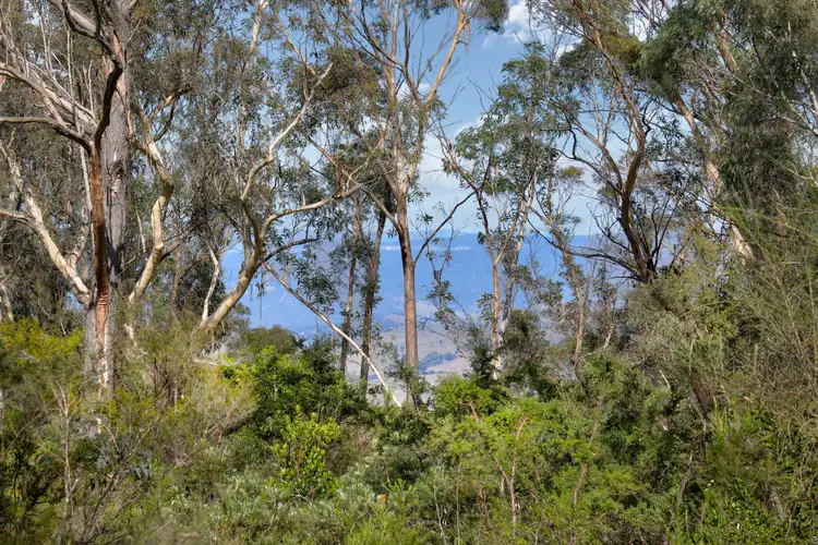 Fourth view of Homely house listing, 65 Victoria Street, Mount Victoria NSW 2786