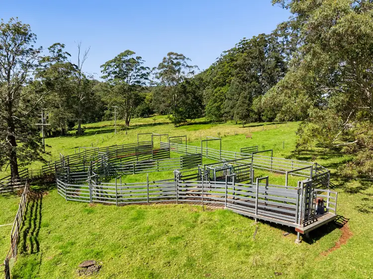 Third view of Homely rural property listing, 555 National Park Road, Ravensbourne QLD 4352
