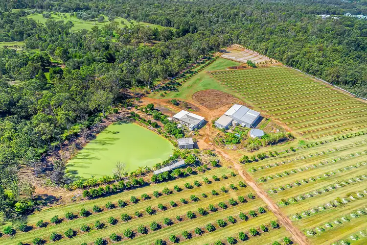Seventh view of Homely rural property listing, 57 Larsens Road, Coominya QLD 4311