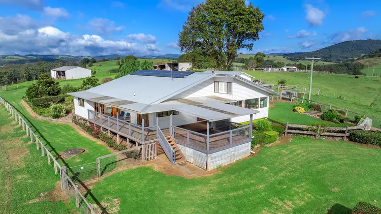 Main view of Homely rural property listing, 230 Emersons Road, Dorrigo NSW 2453