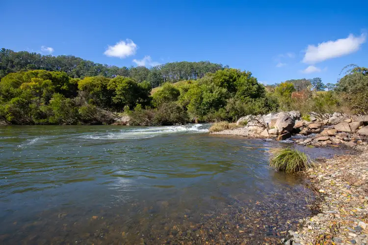 Fifth view of Homely rural property listing, 230 Emersons Road, Dorrigo NSW 2453