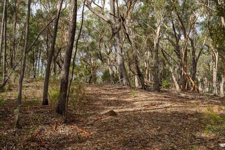 Fourth view of Homely rural property listing, 1524 Towrang Road, Goulburn NSW 2580