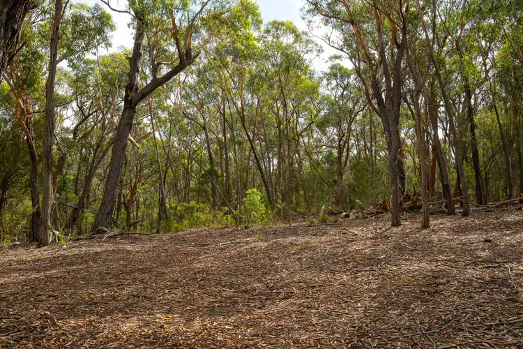 Fifth view of Homely rural property listing, 1524 Towrang Road, Goulburn NSW 2580