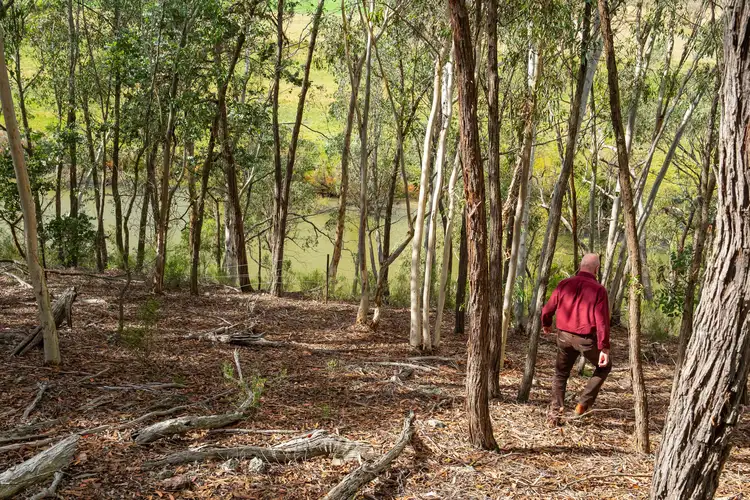 Sixth view of Homely rural property listing, 1524 Towrang Road, Goulburn NSW 2580