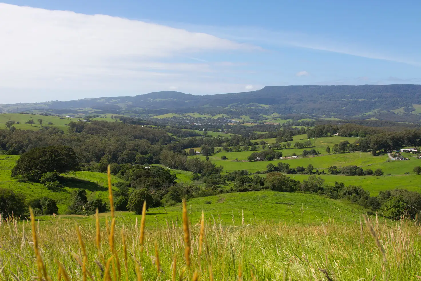 Main view of Homely rural property listing, 162 North Curramore Road, Jamberoo NSW 2533