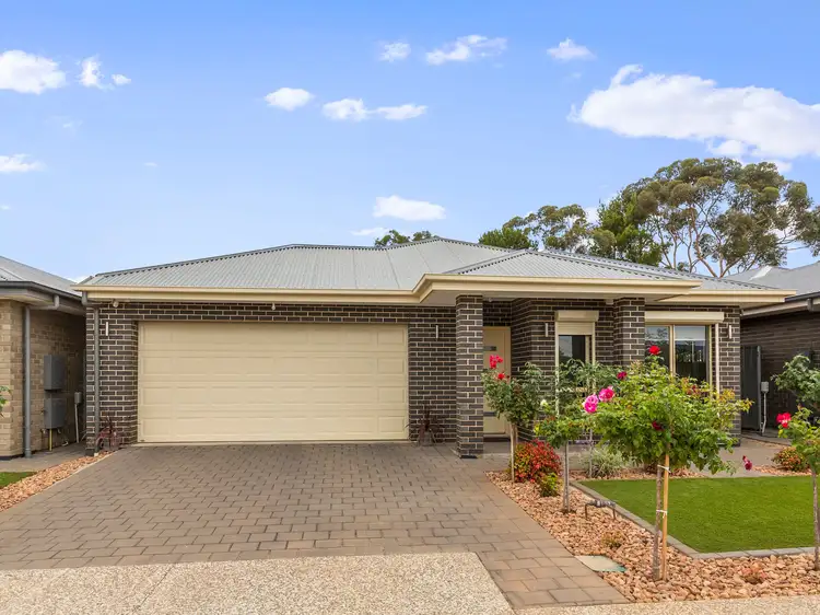 Main view of Homely house listing, 29 Owen Place, Morphett Vale SA 5162