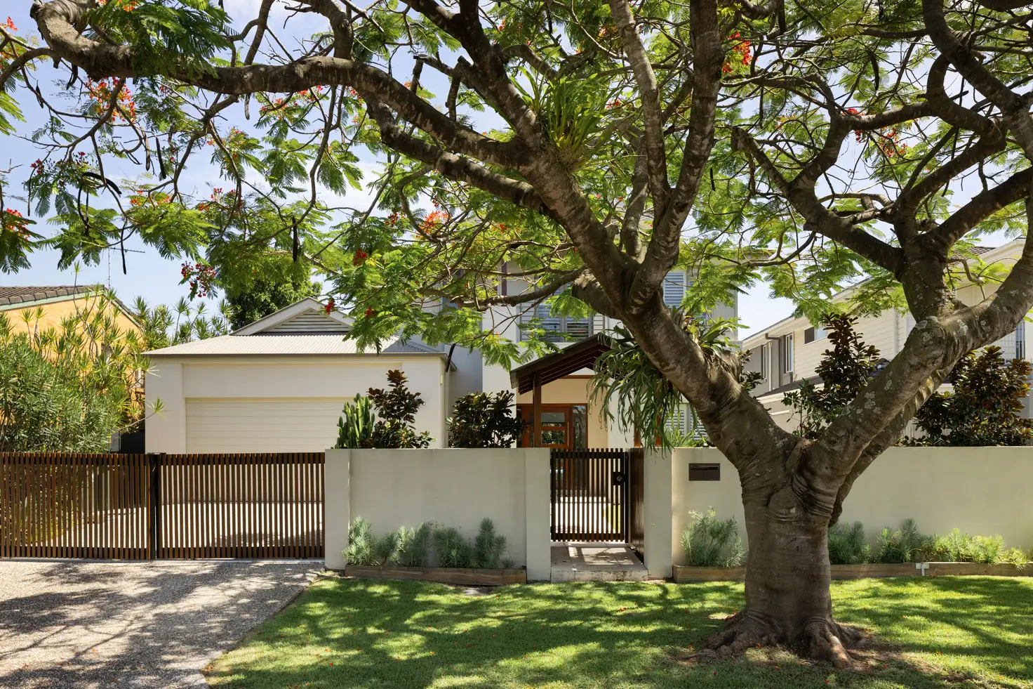 Main view of Homely house listing, 24 Harding Street, Hendra QLD 4011