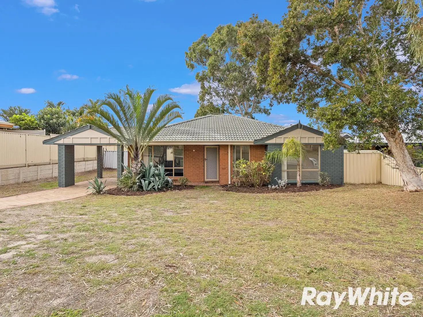Main view of Homely house listing, 7 Malabor Mews, Halls Head WA 6210