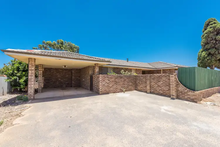 66 Assen Street, Karloo WA 6530