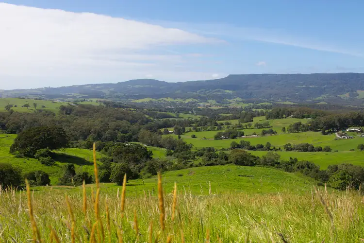 162 North Curramore Road, Jamberoo NSW 2533