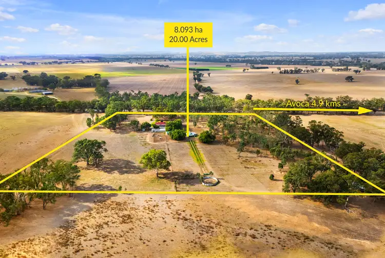 Main view of Homely house listing, 487 Sunraysia Highway, Avoca VIC 3467