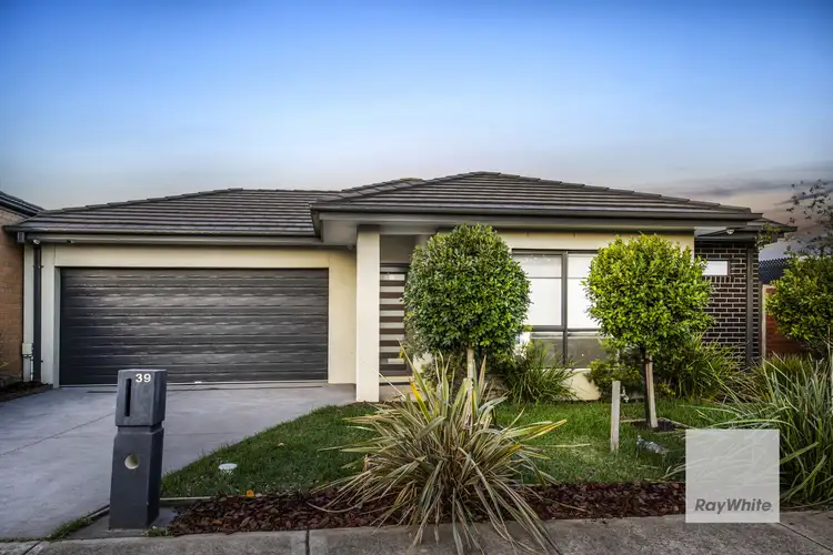 39 Higgins Street