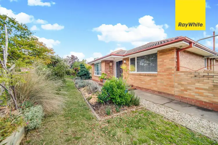 173 Majura Avenue, Dickson ACT 2602