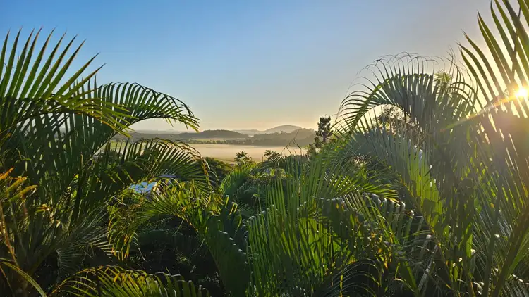 Main view of Homely studio listing, 19 Caitlin Place, Bli Bli QLD 4560
