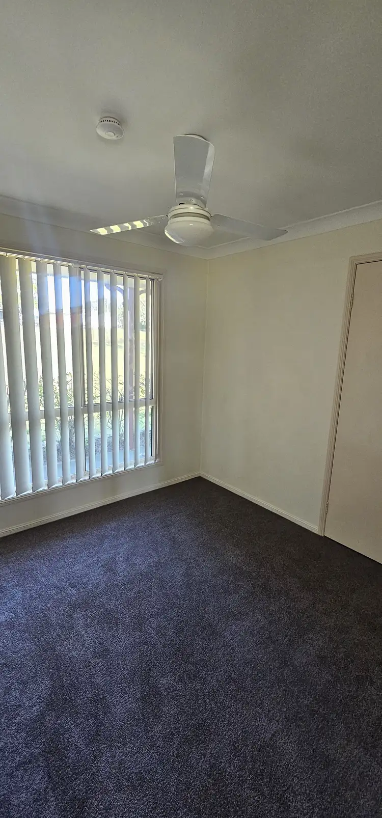 Fifth view of Homely house listing, 8 Hughes Road, Plainland QLD 4341