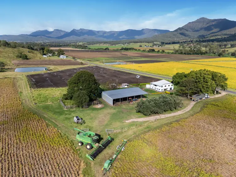 Fifth view of Homely rural property listing, 175 Mulgowie Road, Thornton QLD 4341