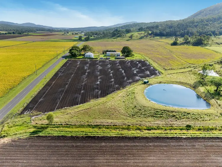 Seventh view of Homely rural property listing, 175 Mulgowie Road, Thornton QLD 4341