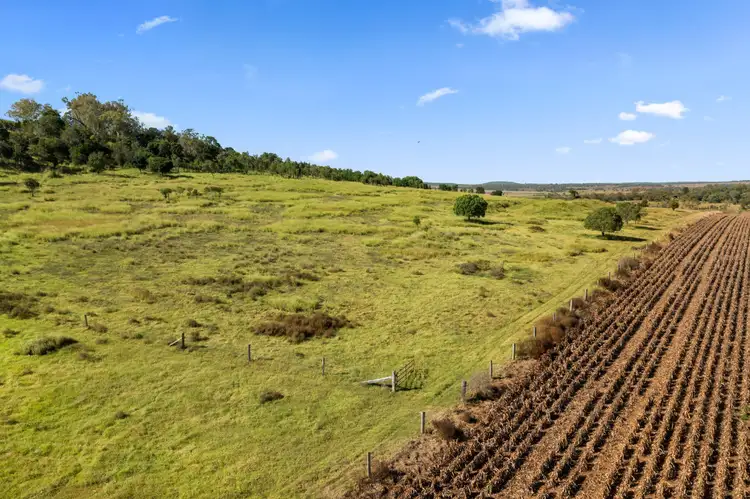 Fifth view of Homely rural property listing, 2733 Oakey - Cooyar Road, Rosalie Plains QLD 4401
