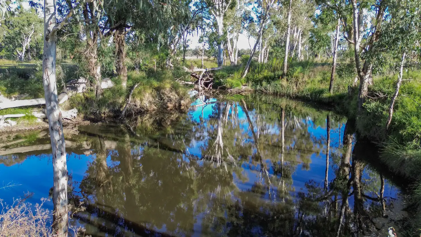 Main view of Homely land listing, 79 Leyburn Forestry Road, Thanes Creek QLD 4370