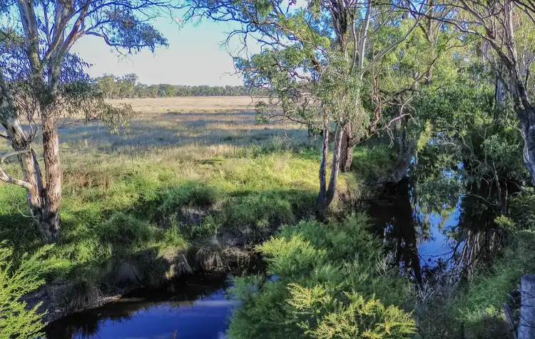 Third view of Homely land listing, 79 Leyburn Forestry Road, Thanes Creek QLD 4370