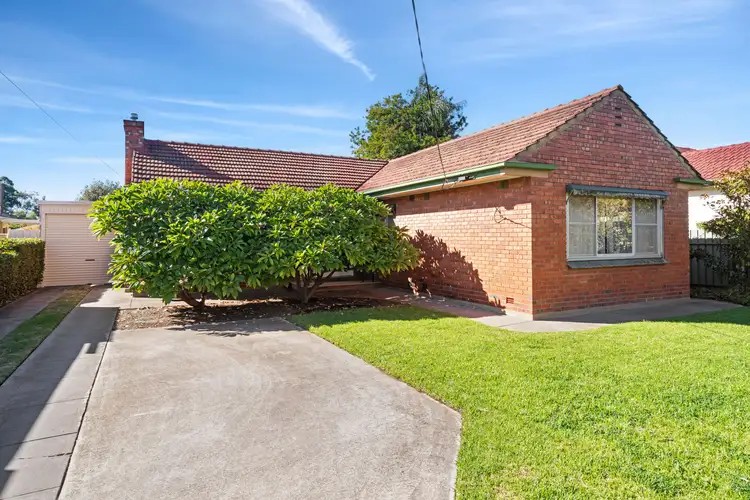 20 Whelan Avenue, Camden Park SA 5038