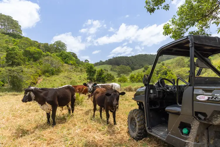 37 Simpsons Road, Cootharaba QLD 4565