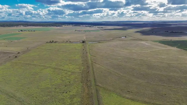 Seventh view of Homely rural property listing, 454 Dungannon Road, Clifton QLD 4361