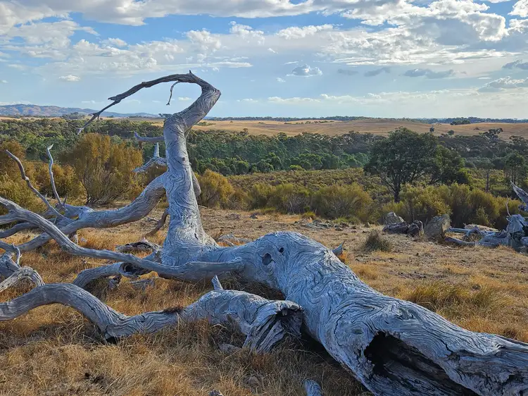 Third view of Homely land listing, 1 Barry Lane, Glenhope East VIC 3522