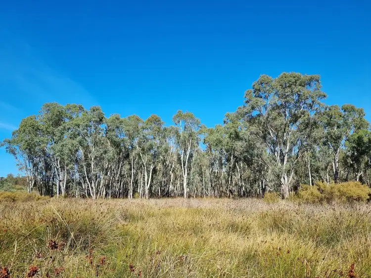 Fifth view of Homely land listing, 1 Barry Lane, Glenhope East VIC 3522