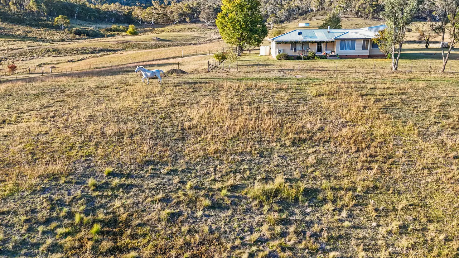 Main view of Homely house listing, 120 Peak View Road, Numeralla NSW 2630