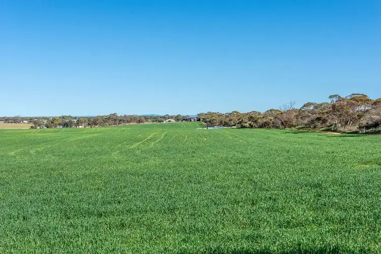 Fourth view of Homely other listing, 720 Bowhill Road, Burdett SA 5253