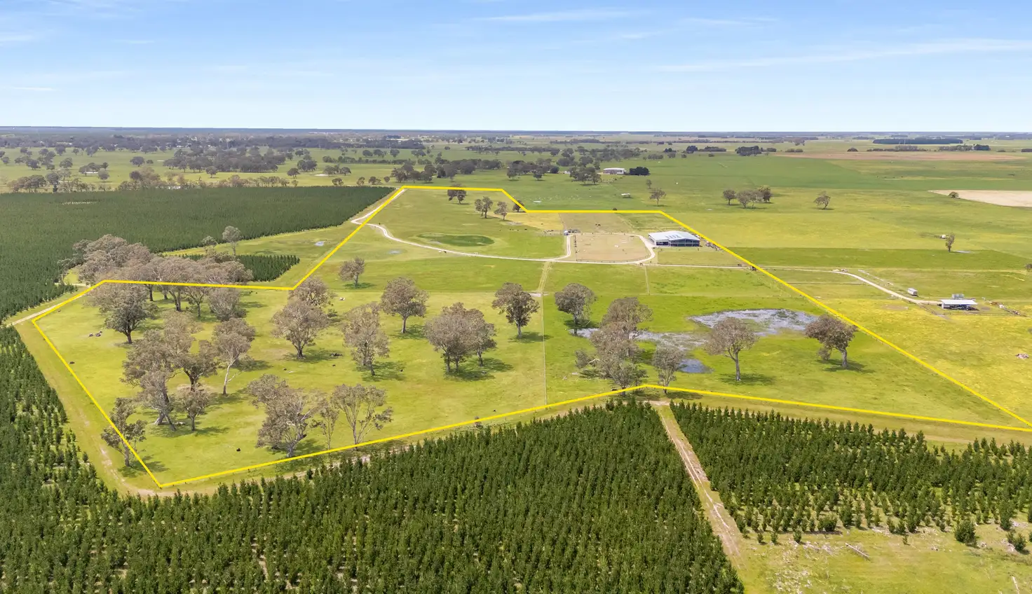 Main view of Homely house listing, 245 Avondale Road, Tarpeena SA 5277