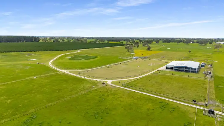 Second view of Homely house listing, 245 Avondale Road, Tarpeena SA 5277