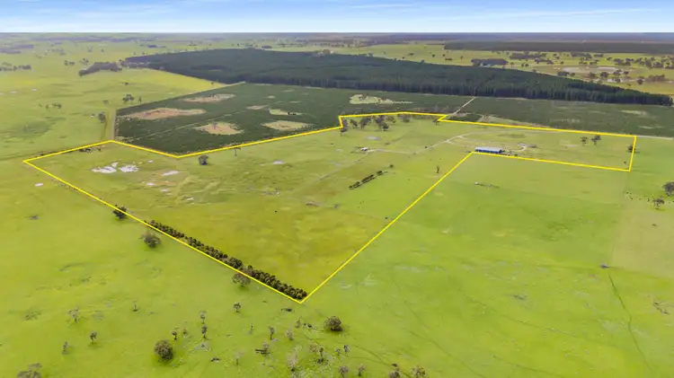 Third view of Homely other listing, 245 Avondale Road, Tarpeena SA 5277