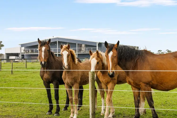 Fifth view of Homely house listing, 245 Avondale Road, Tarpeena SA 5277