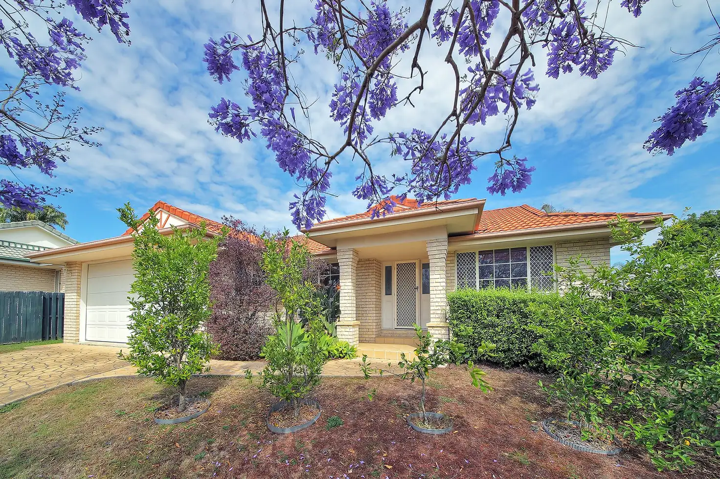 Main view of Homely house listing, 29 Pindari Crescent, Wishart QLD 4122