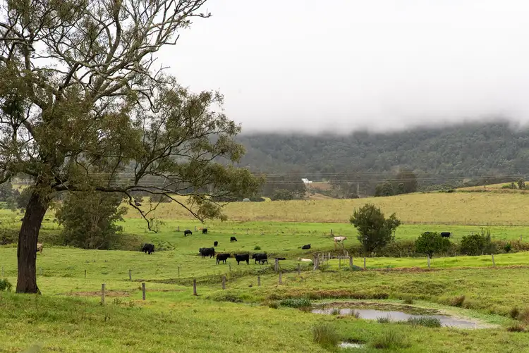 Second view of Homely rural property listing, 680 Summerhill Road, Vacy NSW 2421