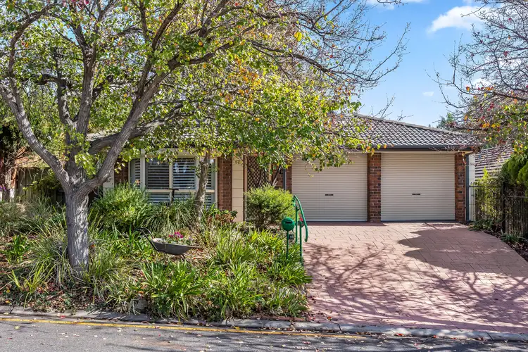 16 Lake Maurice Place, Greenwith SA 5125