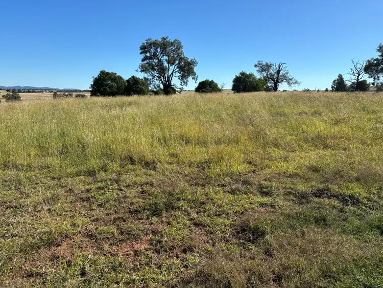 Second view of Homely land listing, LOT 52, Salter Street, Bingara NSW 2404